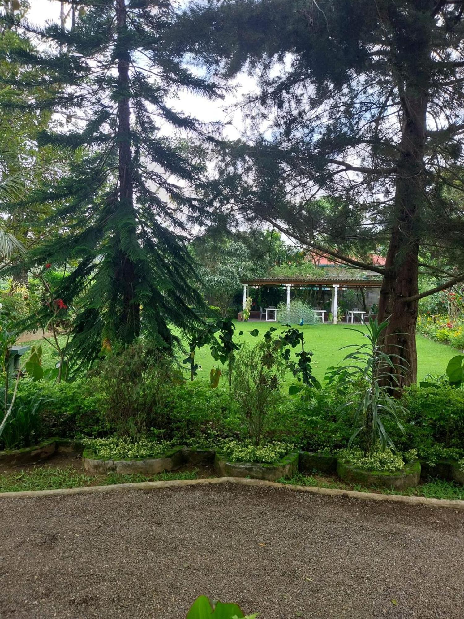 Spring Shannon Heritage Diyatalawa Exterior photo